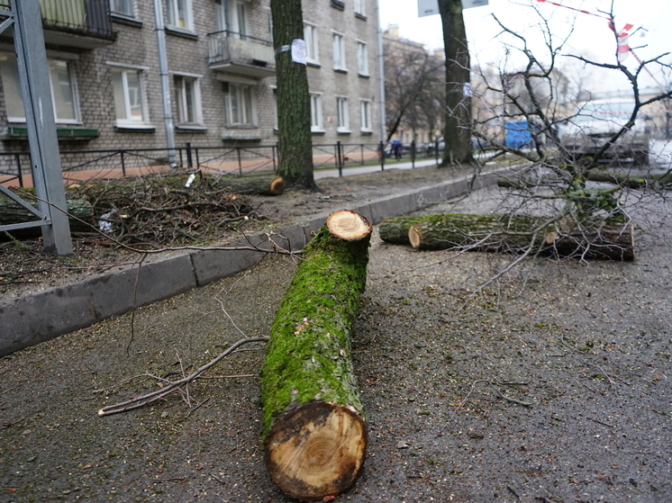 Новгородец отсудил у «Городского хозяйства» 60 тысяч рублей за повреждение машины