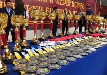 Спортсмены забайкальской региональной ассоциации ушу завоевали 26 медалей на турнире «Кубок Золотого дракона», который прошел 27-28 ноября в Улан-Удэ