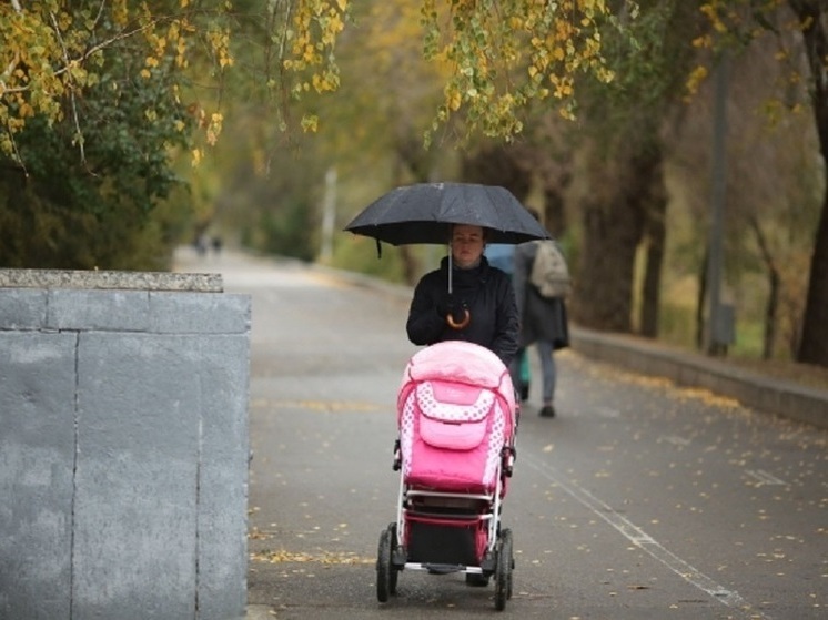 В Волгоградской области 2,3 тысячи молодых мам получили выплату за рождение первенца