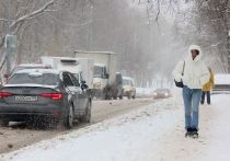 На следующей неделе в столичном регионе ожидается морозная погода, больше характерная для Архангельска, чем для Москвы