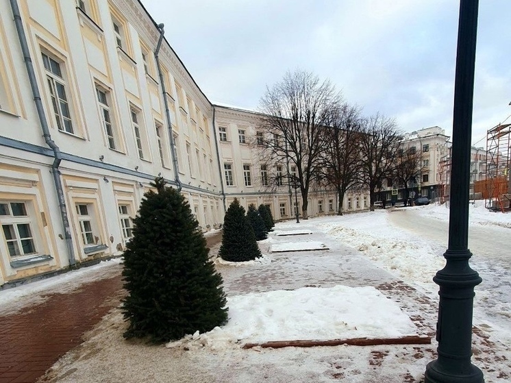 Ярославцам объяснили особенность посадки елей на Советской площади