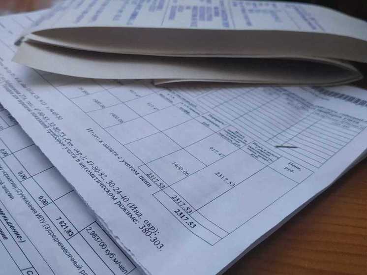 Энергетики в Хабаровском крае готовы списать пени должникам