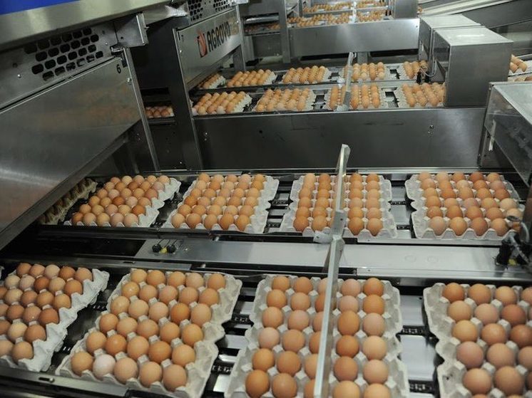  В магазинах и на рынках Волгограда резко взлетели цены на яйца и овощи