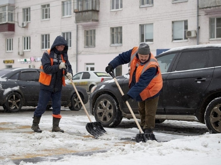В Курской области 2 декабря ожидается небольшой снег при -3 градусах