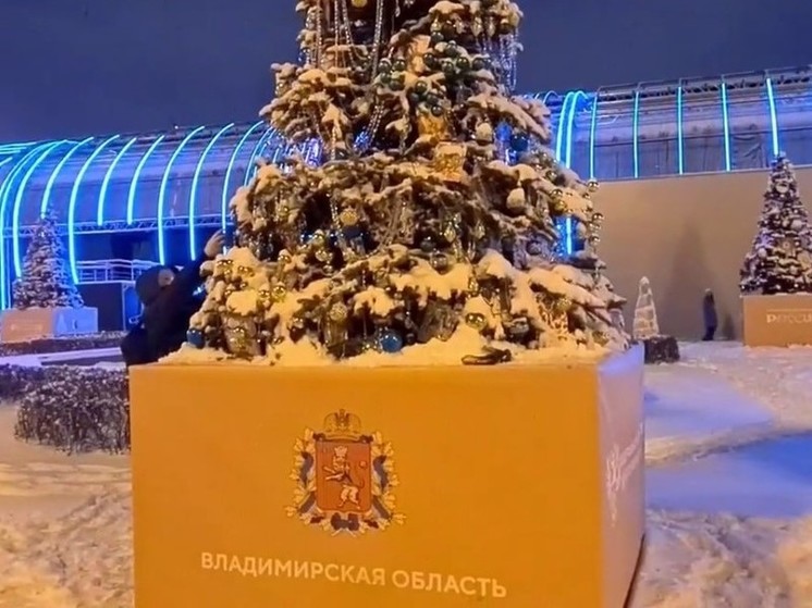 33 регион на ВДНХ представил ель, украшенную гусевским хрусталем