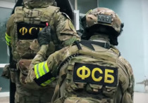Задержан агент украинских спецслужб, который в июле с помощью беспилотных летательных аппаратов атаковал военный аэродром Дягилево в Рязани, поделились подробностями в ФСБ