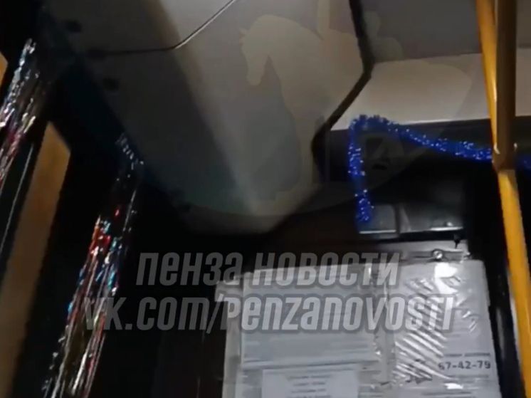 Автобус №130 подарил пензенцам новогоднее настроение