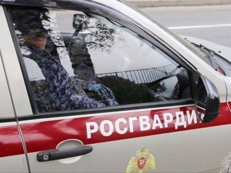 Пскович покусился на спиртное, но от росгвардейцев не ушел
