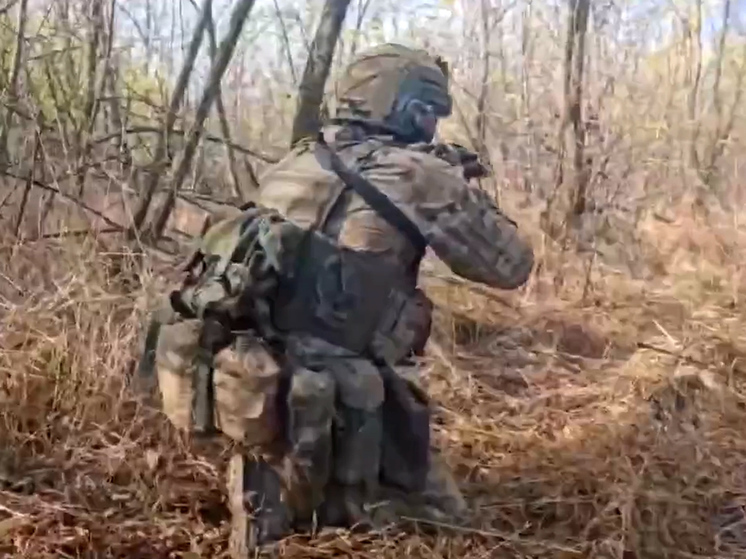 Казаки из Шестой казачьей лисичанской бригады имени М.И. Платова ведут наступление на Северском направлении