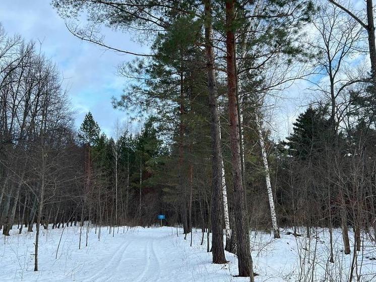В пензенском дендрарии им. Г.Ф. Морозова закончились сезонные работы