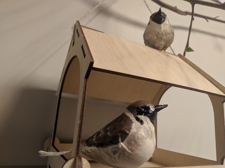 Вологжане могут принять участие в интернет-конкурсе кормушек для птиц