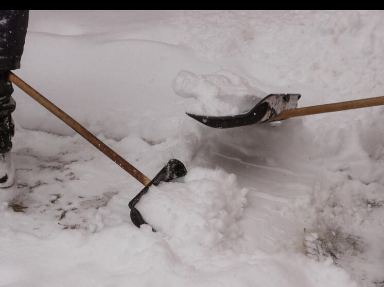 2 декабря Смоленск присоединится к общеобластному субботнику