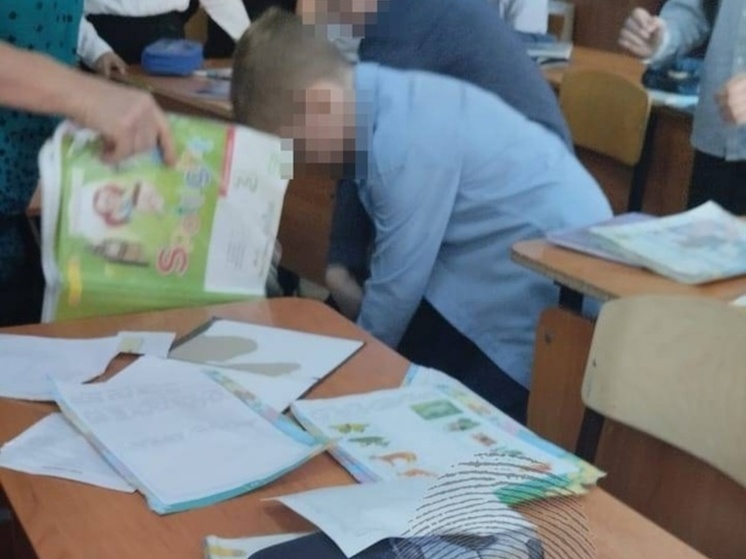 В Новосибирске третьеклассник вцепился в волосы классному руководителю