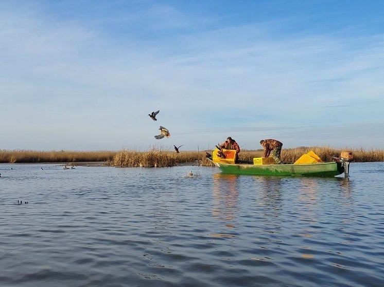  В Астраханской области выпустили на волю 220 уток крякв