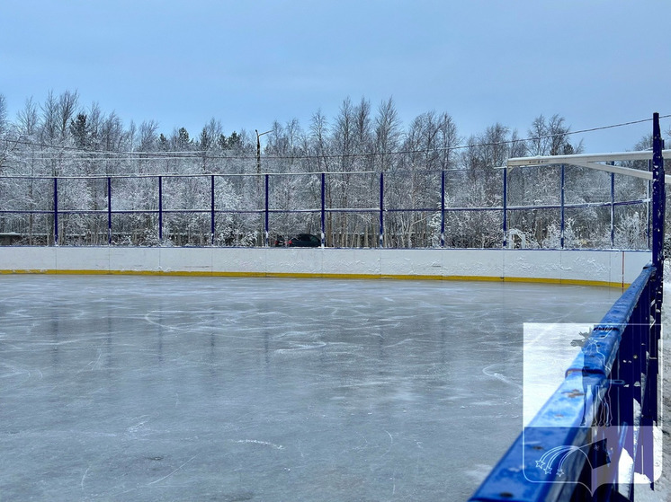 Всероссийские соревнования по хоккею с мячом стартуют в Мончегорске
