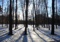 В субботу 2 декабря в Белгородской области ожидается мороз