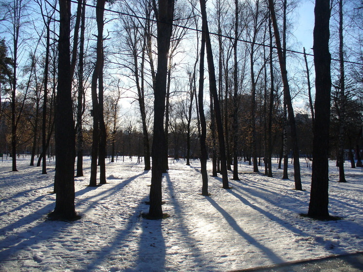 Небольшой снег и гололедица ожидается в Белгородской области в субботу