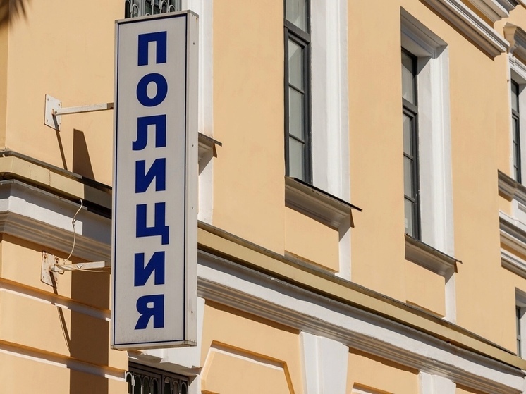 Псковичи хотели заработать в интернете, но только лишились сбережений