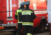 Из-за пожара в квартире на проспекте Испытателей эвакуировали 12 человек. Также есть пострадавший, сообщили в пресс-службе ГУ МЧС по Петербургу.