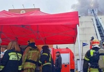 В Москве потушили открытое горение на рынке "Садовод" на юго-востоке города