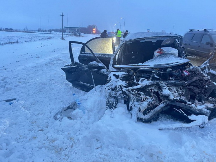 В Курской области в ДТП со снегоуборочной машиной погиб водитель легковушки