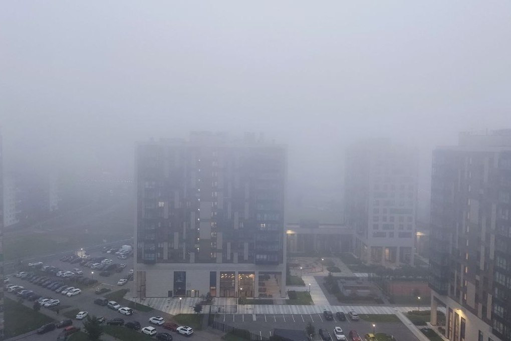 Калининградцев предупредили о надвигающемся тумане