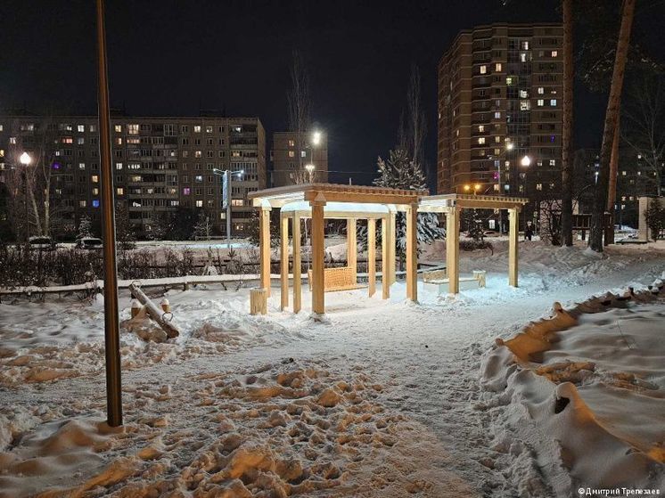 На месте отдыха «Золотые пески» в Черняевском лесу заменили малые архитектурные формы
