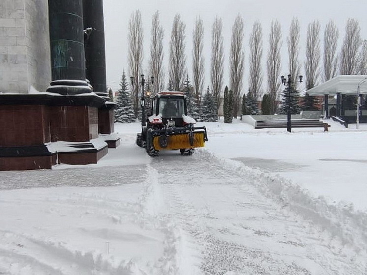 В Курске 4 природных парка регулярно расчищают от снега