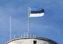 Эстонские власти приравнивают желание получить российское гражданство с угрозой национальной безопасности