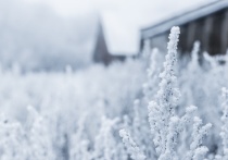 В воскресенье, 3 декабря, в Сахалинской области местами будет идти небольшой снег