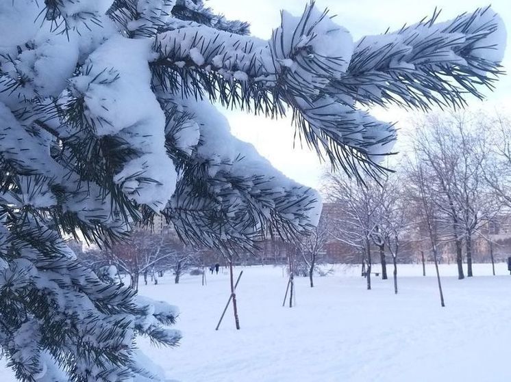 «Гуляй, но не замерзай»: северянам рассказали, как справиться с обморожением