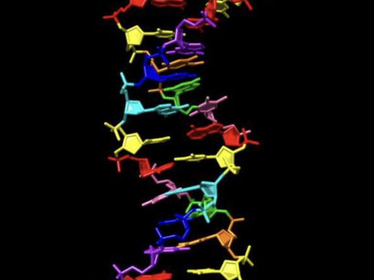 В ДНК мумифицированных тел «инопланетян» нашли ДНК «неизвестного вида»0