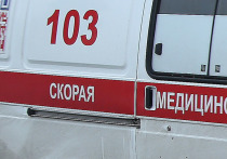 На Камчатке водитель влетел в колонну военнослужащих-срочников на трассе, шесть человек госпитализированы