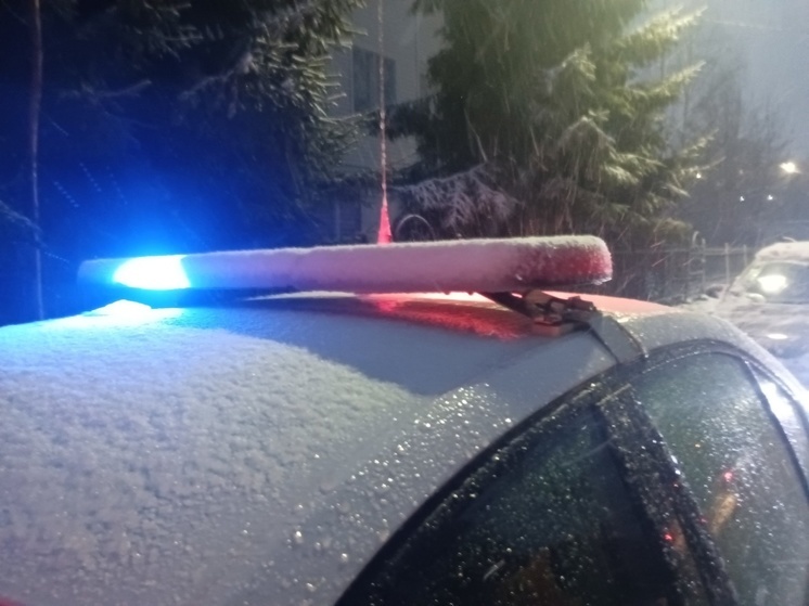 Гость Карелии предстанет перед судом за повторную пьяную езду