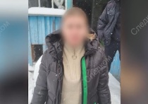 Похитители восьмилетней девочки из Козельска жили шведской семьей - 37-летняя Ирина Новикова проживала в доме своей матери вместе с бывшим и нынешним мужьями, пишет телеграм-канал SHOT
