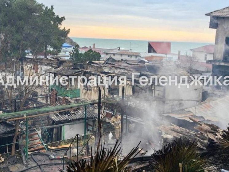 В Геленджике сгорели постройки на четырех земельных участках