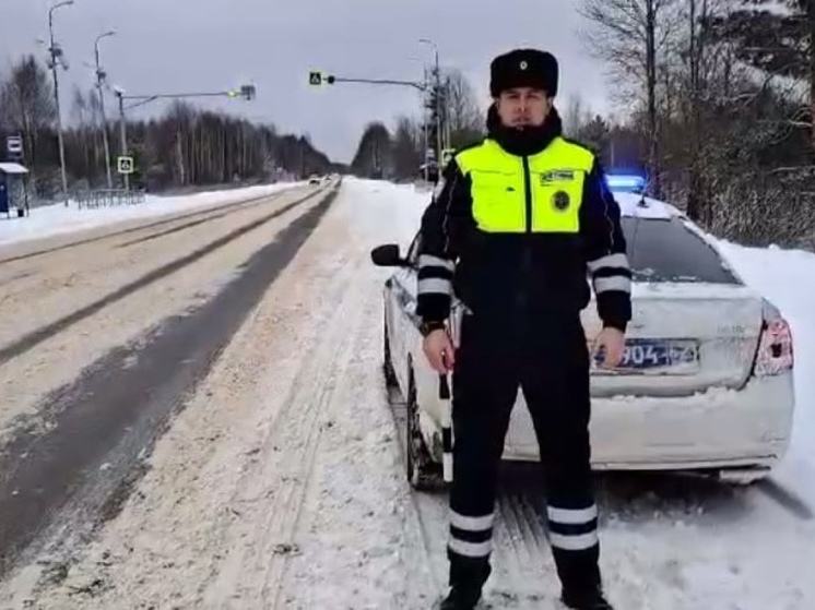 В Клепиковском районе полицейские призвали водителей воздержаться от поездок