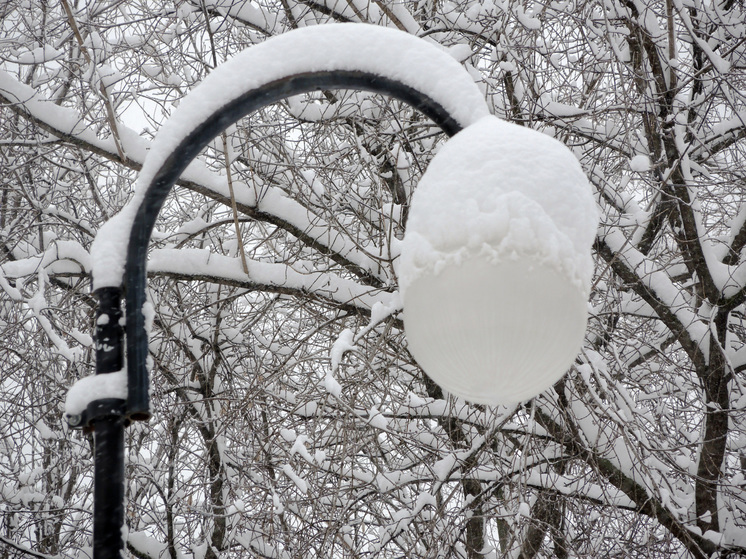 Жители Томилино просят чиновников осветить детский сад