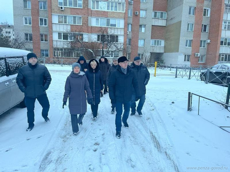 В Пензе проверили качество уборки территории от снега