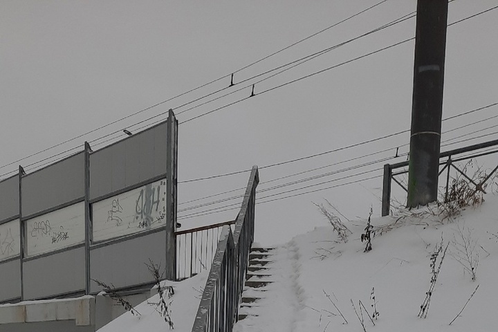 Жители Петрозаводска остались без важной лестницы из-за снега