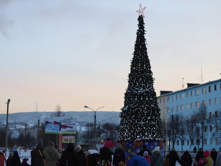 Жители Колы задорно отметили открытие новогодней елки