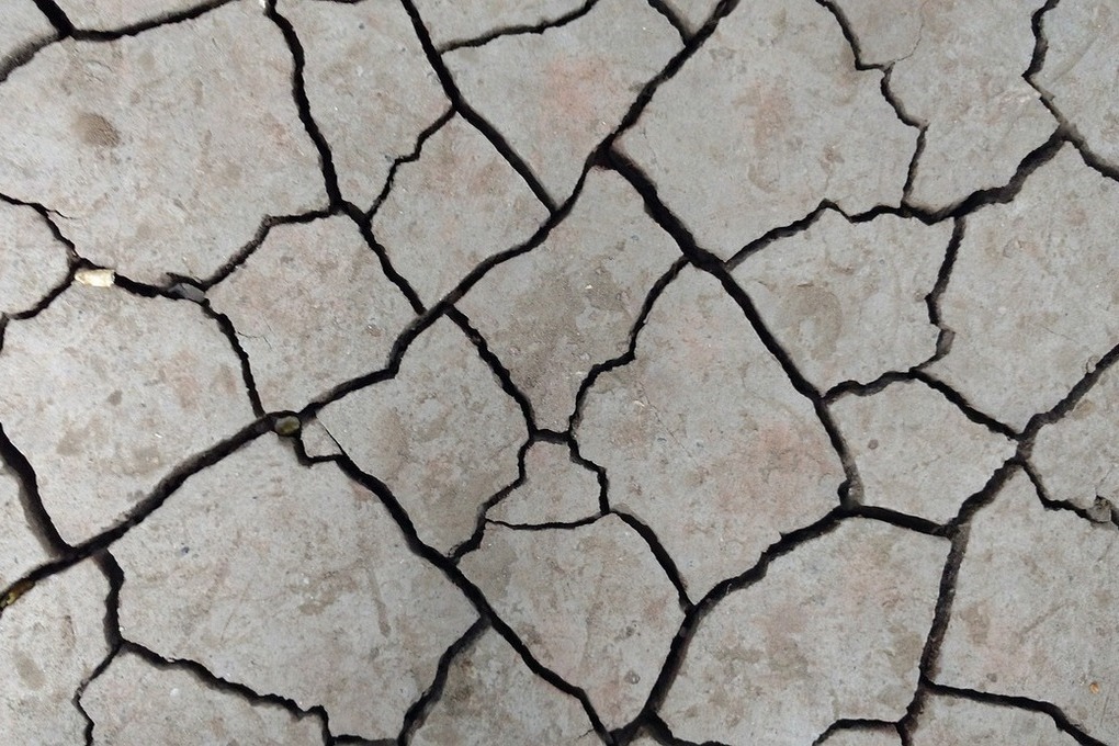 Фото: pixabay.com 