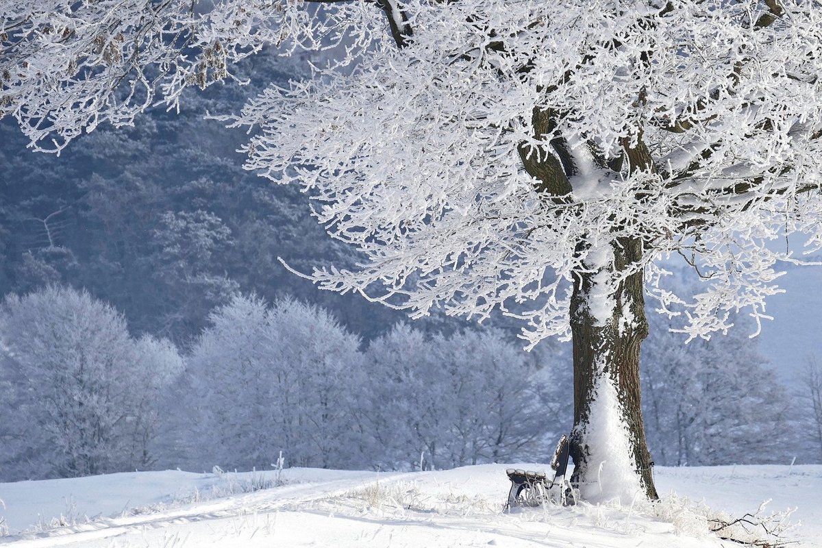 Синоптики 3 декабря снова предсказывают в Смоленске снег