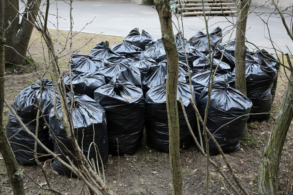 Калининградская область попала в список регионов с нехваткой мусорных полигонов