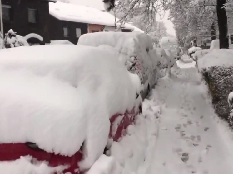 Мюнхен парализован сильнейшим снегопадом