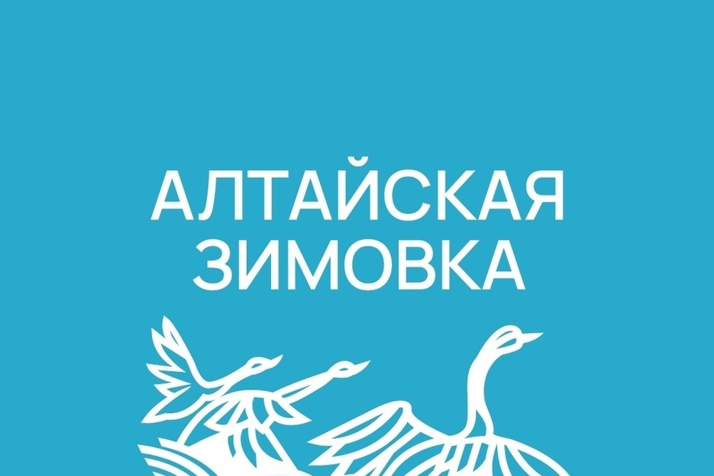 Фестиваль «Алтайская зимовка» отменили из-за штормового прогноза в Барнауле