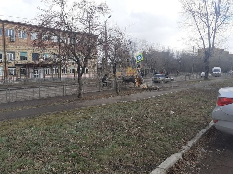 В МЧС предупредили о сильном ветре в Красноярске 4 декабря