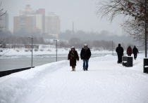 В Москве в воскресенье ожидаются сильные снегопады, метели и до минус шести градусов, сообщил ведущий специалист центра погоды "Фобос" Евгений Тишковец