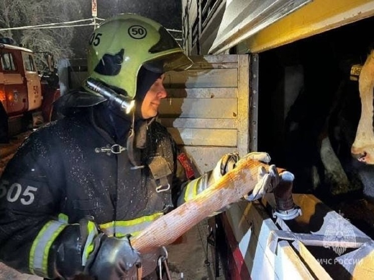 Кемеровских коров спасли челябинские пожарные
