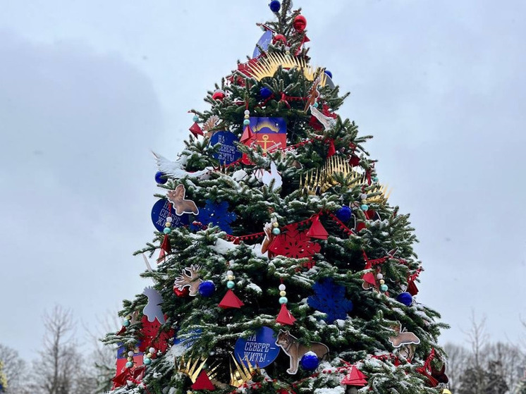 Новогоднее деревце от Мурманской области стоит на «Аллее елок» на ВДНХ
